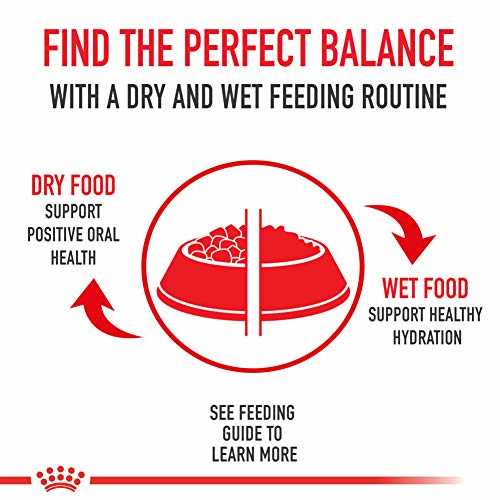Thin Slices in Gravy Wet Cat Food, 3 oz, Case of 24 P352