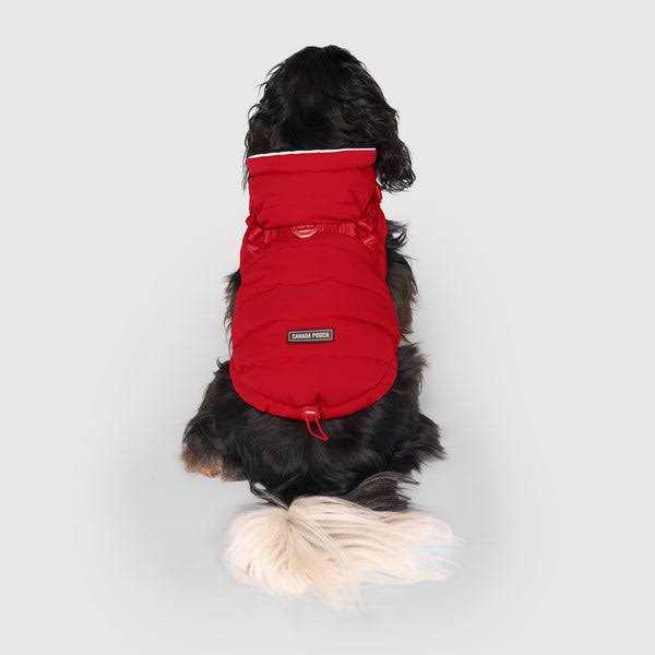 Black Puffer Harness R277