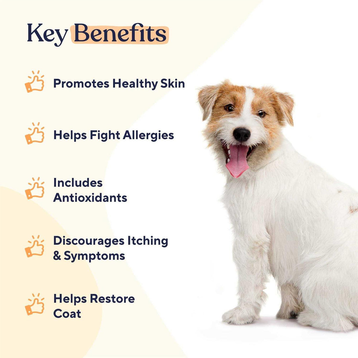 Skin & Coat Soft Chews Y56975