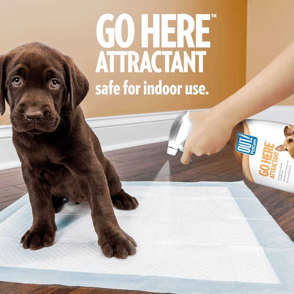Indoor and Outdoor Dog Training Spray P484
