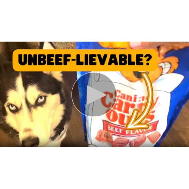 Beef Flavor Dog Treats K3102