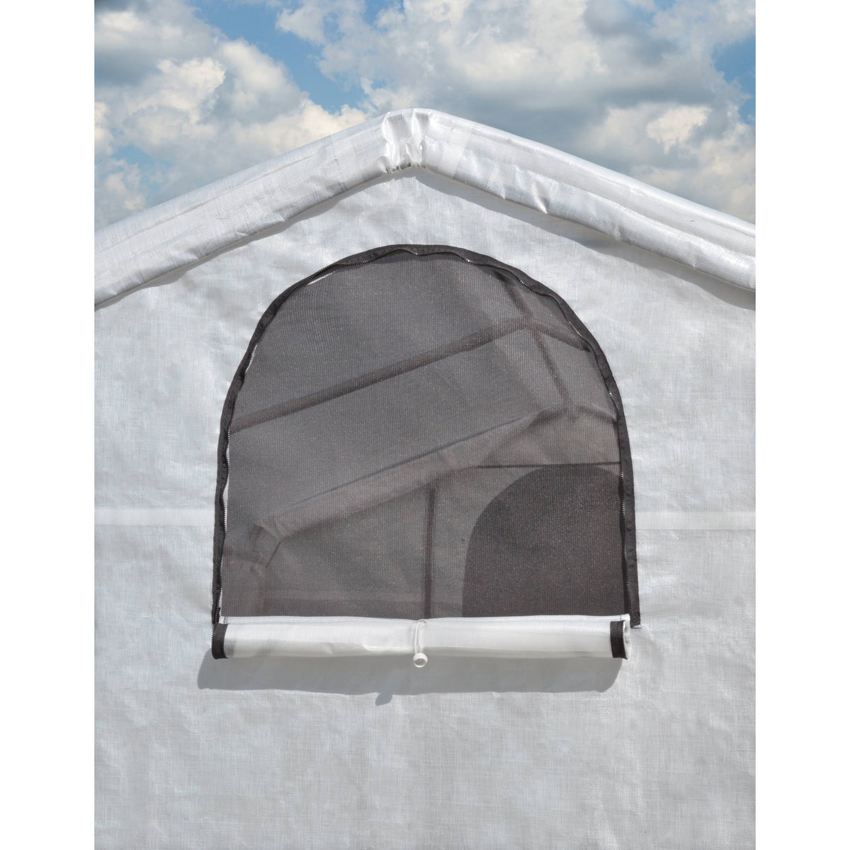 10 x 10 x 8 Greenhouse D9635