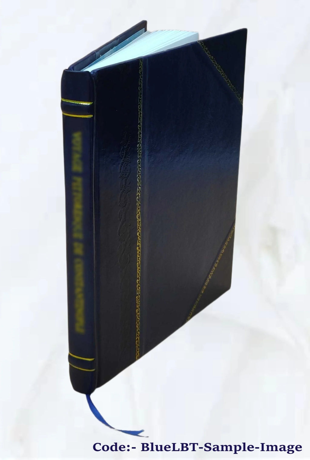 Leather Bound Book T6382