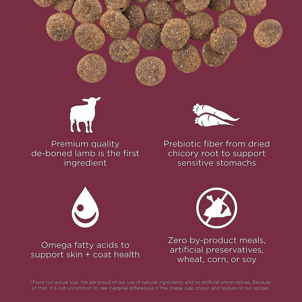 Limited Ingredient Lamb Grain-Free Dry Dog Food N1124