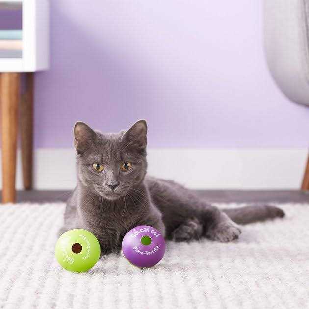 Cat Toy C4461