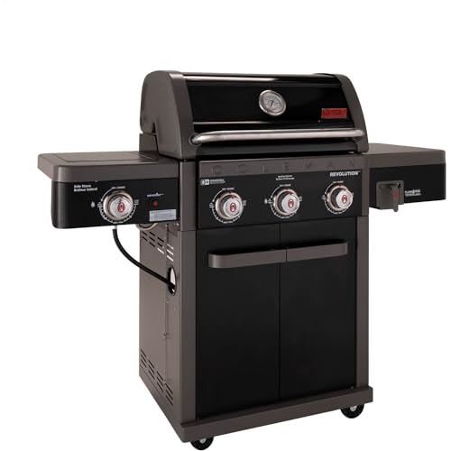 2-Burner 30,000 BTU BBQ Gas Grill in Black F13948