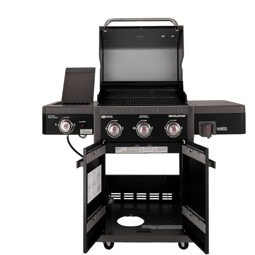 2-Burner 30,000 BTU BBQ Gas Grill in Black F13948