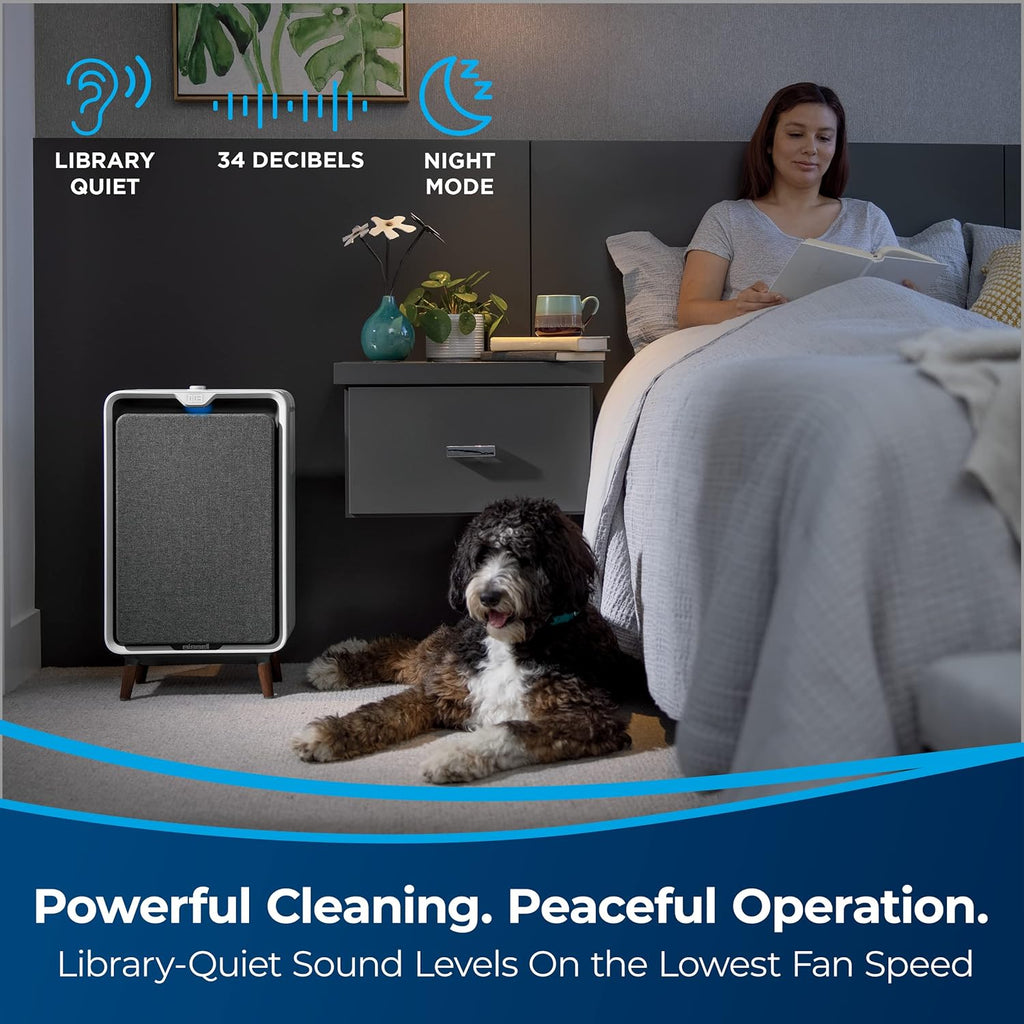 Smart Air Purifier with HEPA and Carbon Filters S109