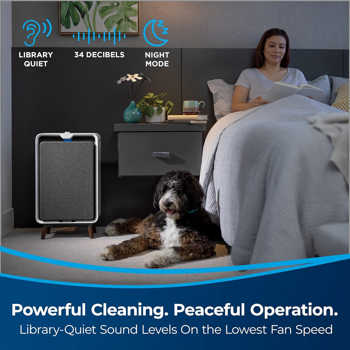 Smart Air Purifier with HEPA and Carbon Filters S109