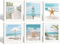 13''x13'' Framed Beach Shell Wall Art V7217