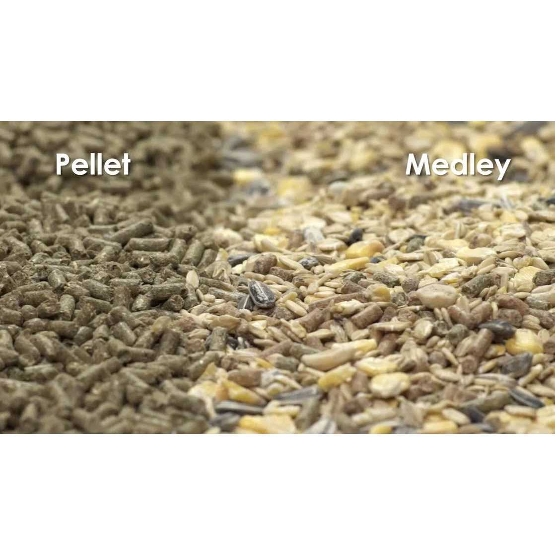 Mouse Rat Food U448