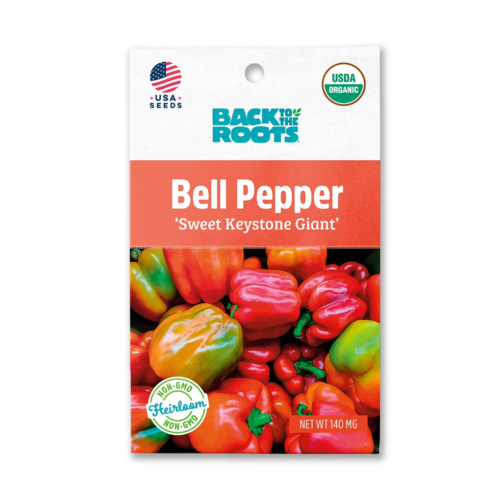 Organic Sweet Keystone Giant Bell Pepper Seeds, 1 Seed Packet P733070