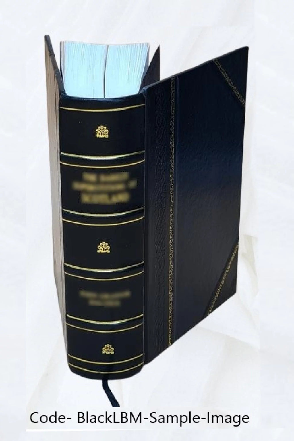 1985 U.S. Industrial Outlook Leather Bound M560