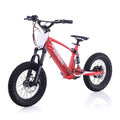 Lightweight Electric Dirt Bike, 750/850W Motor, 3-Speed Mode F26466