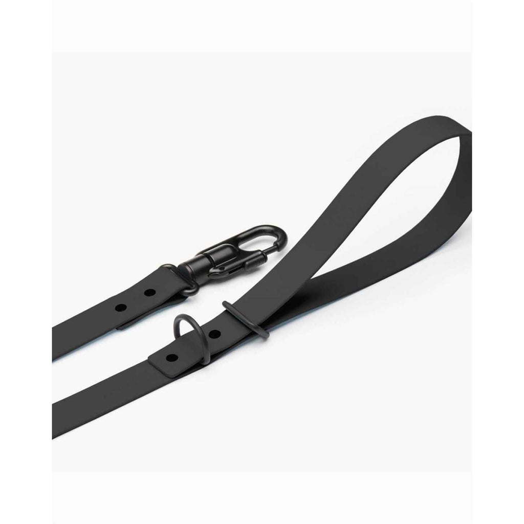 Dog Leash I144893