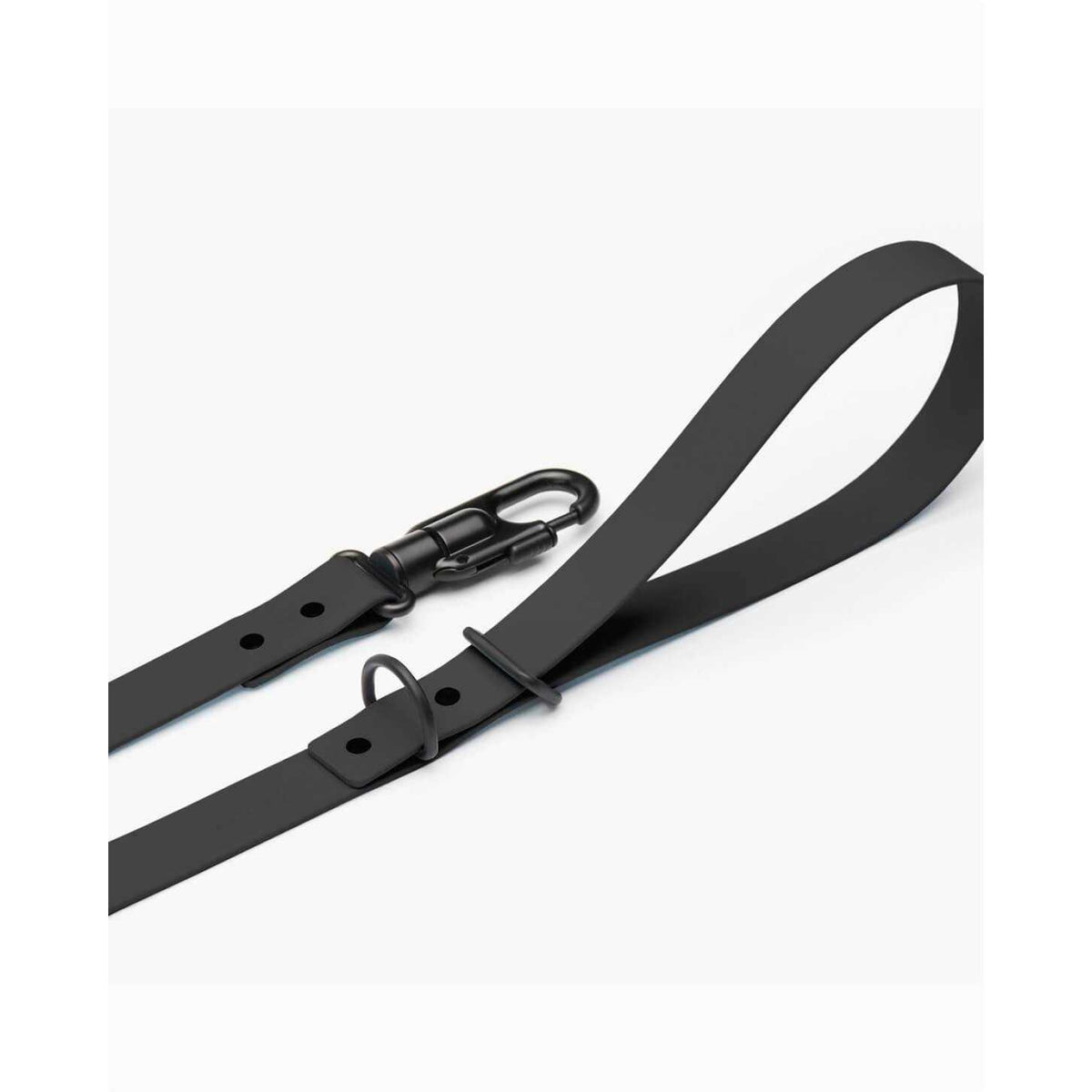 Dog Leash I144893