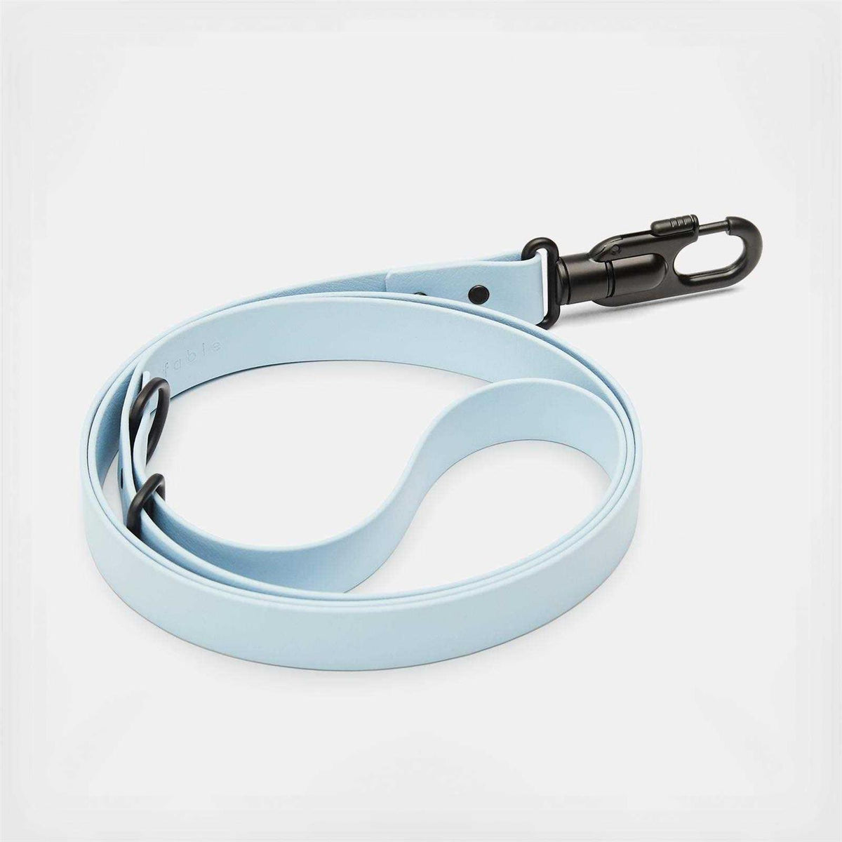 Dog Leash I144893