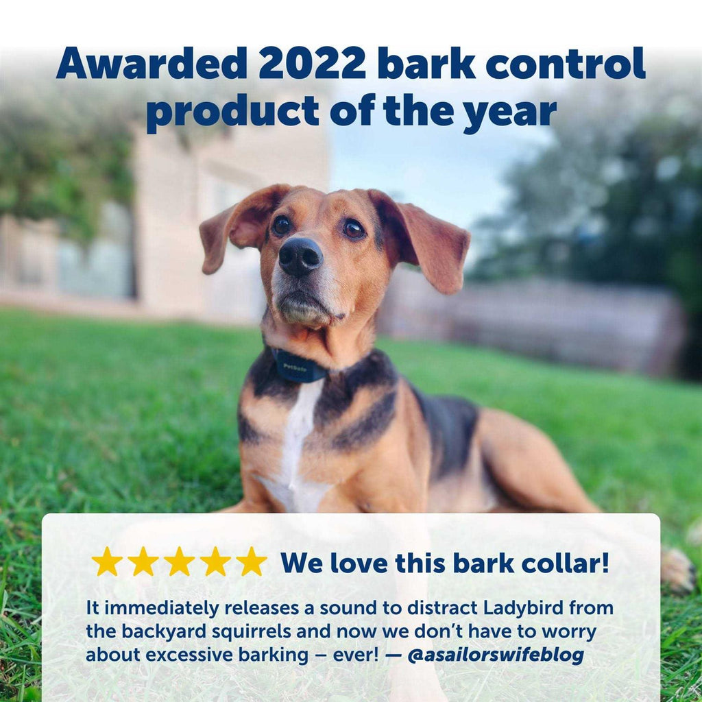 Audible Bark Dog Collar I290064