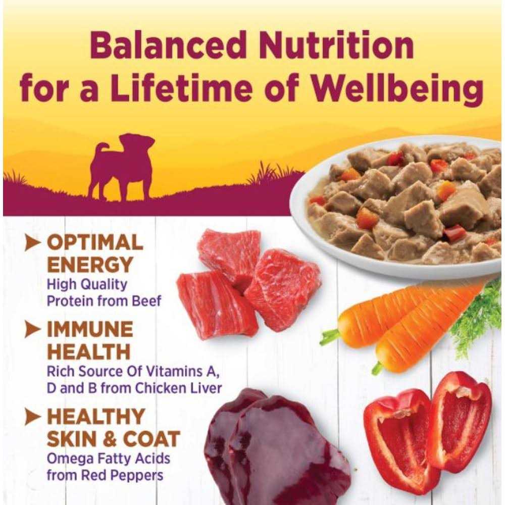 Chicken Dog Food Z89918