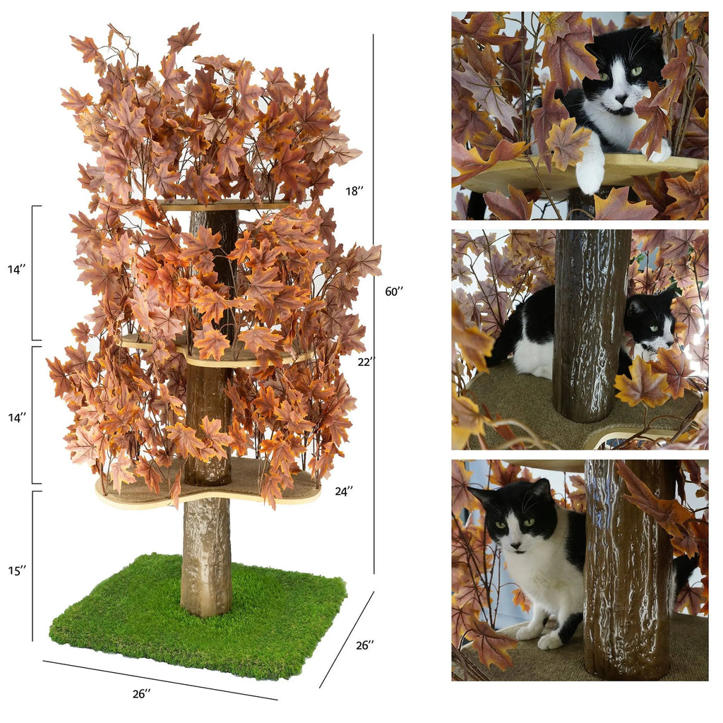 Plum Autumn 60-in Square Cat Tree T397