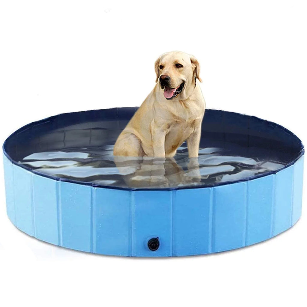 48 x 12 inch Collapsible Blue Pet Pool E719