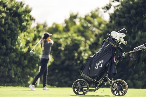 Fairway 14 Golf Bag Y67298