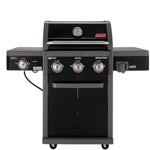 2-Burner 30,000 BTU BBQ Gas Grill in Black F13948