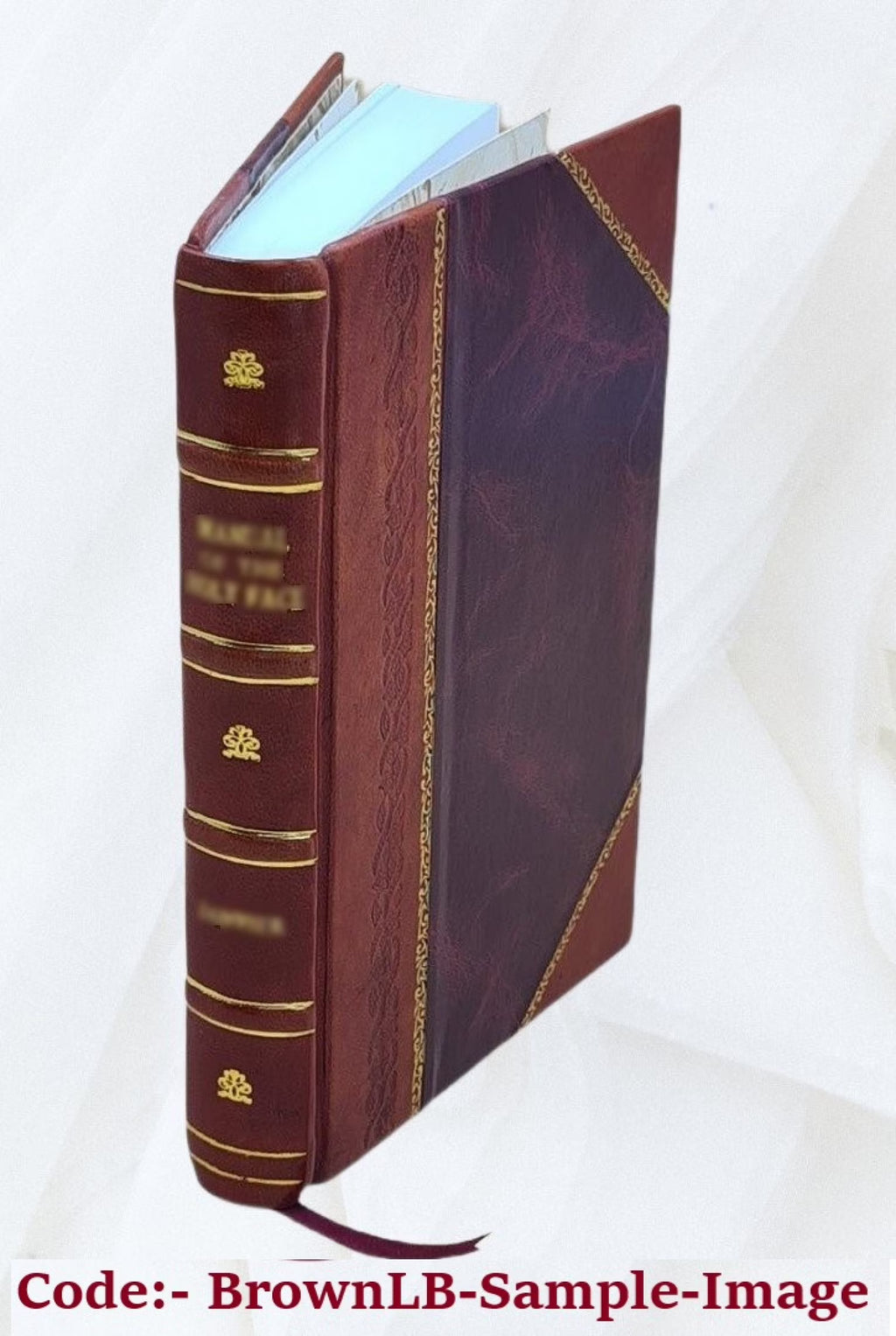 Leather Bound Book H256494