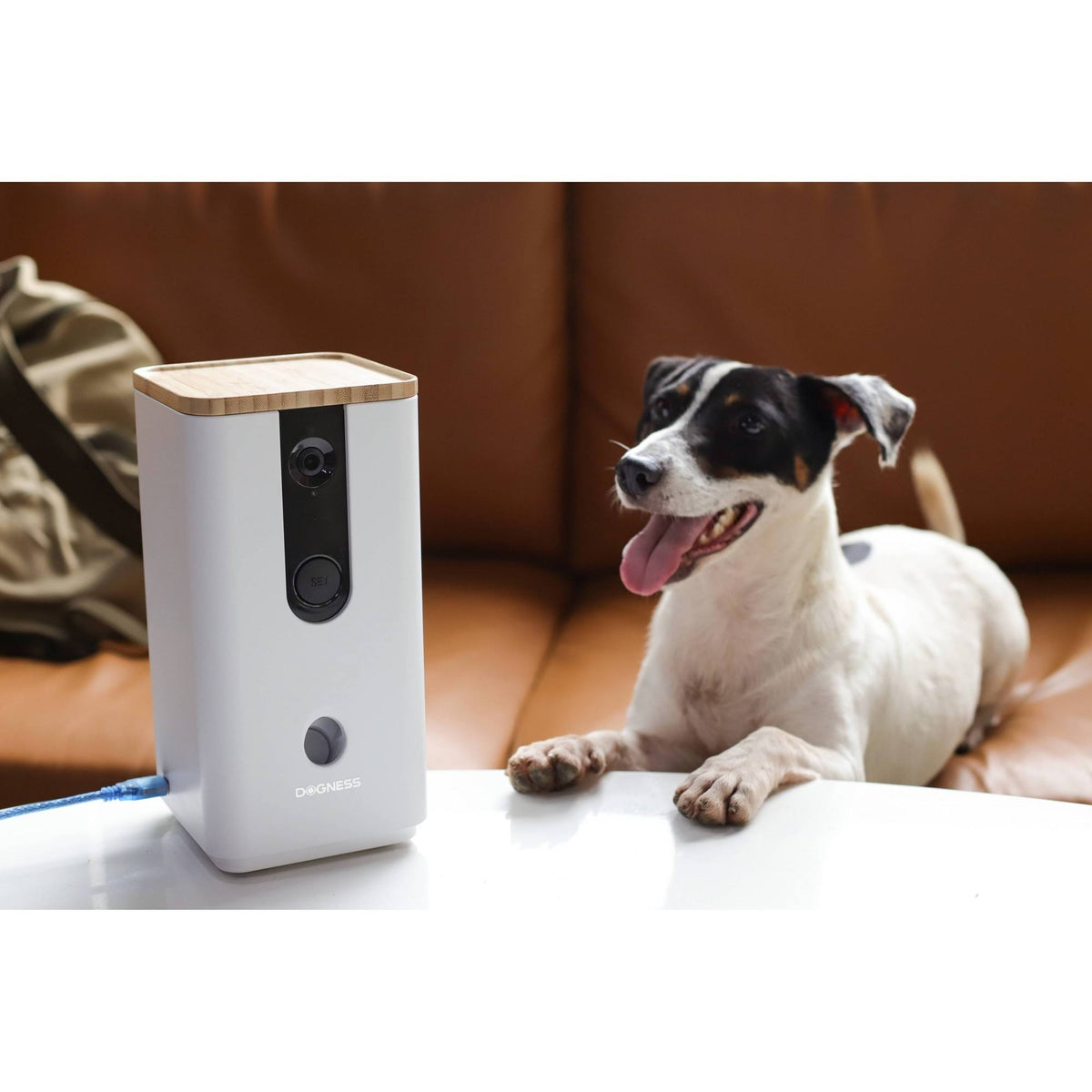 White Pet Treat Dispenser with Camera F2536