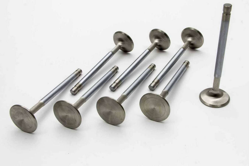 Intake Valves Z51388