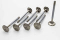 Intake Valves Z51388