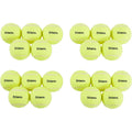 Squeaky Tennis Ball Dog Toy Y20814