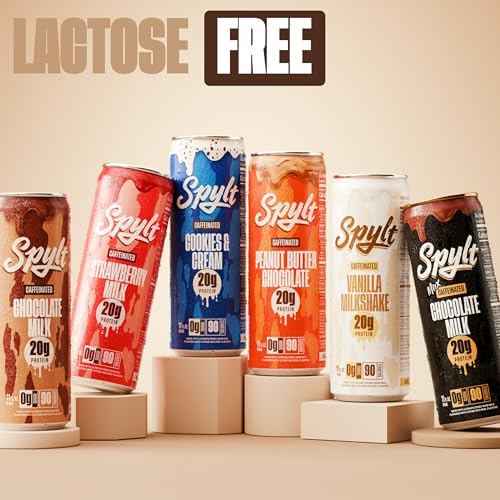 Sugar Free Lactose Free Chocolate Milk 12 Count H18626