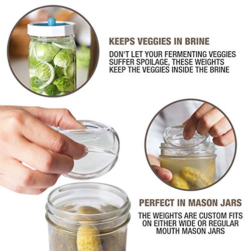 Glass Fermentation Weights Set P479