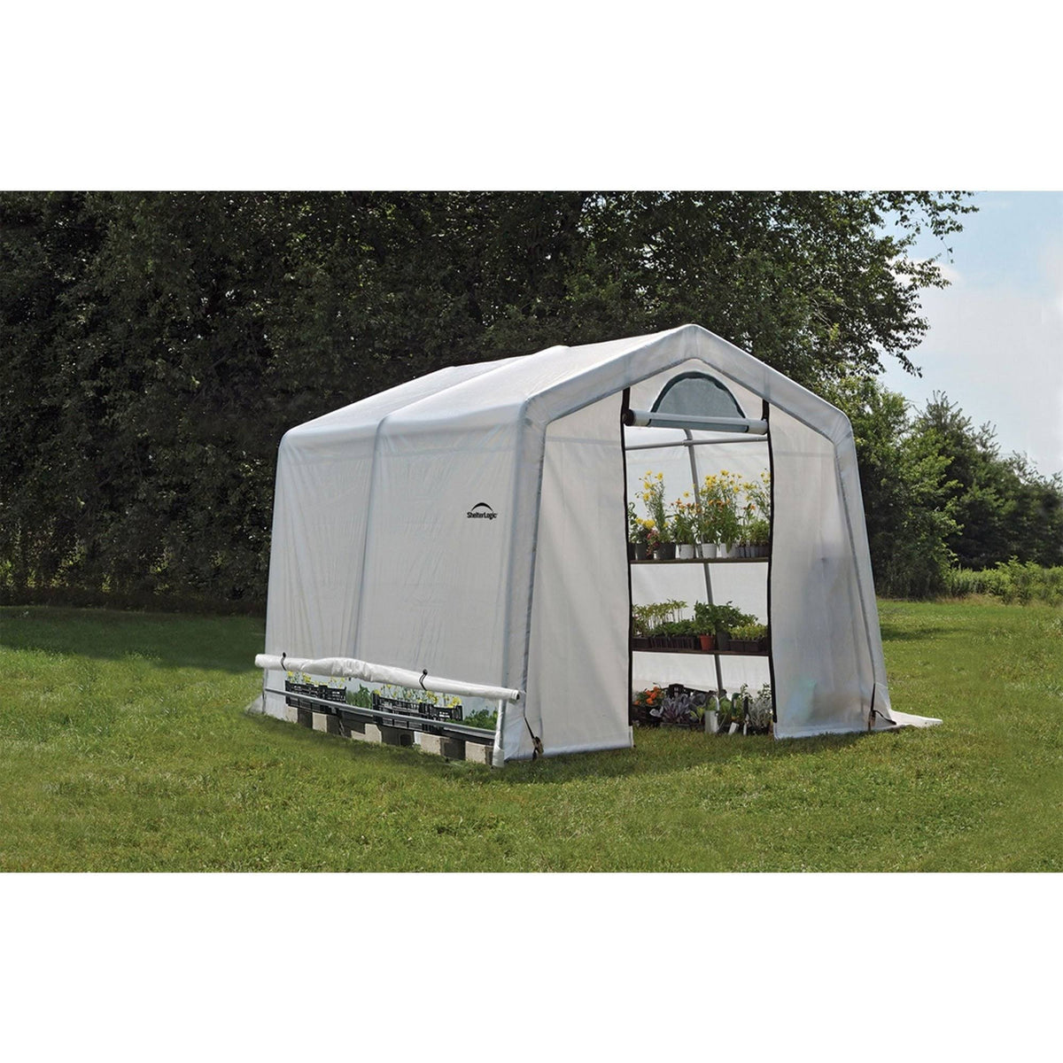 10 x 10 x 8 Greenhouse D9635