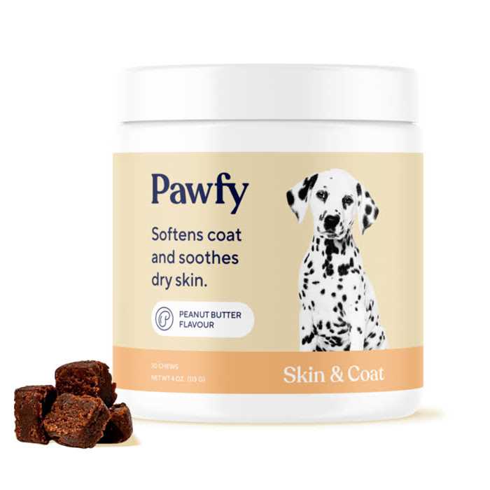Skin & Coat Soft Chews Y56975