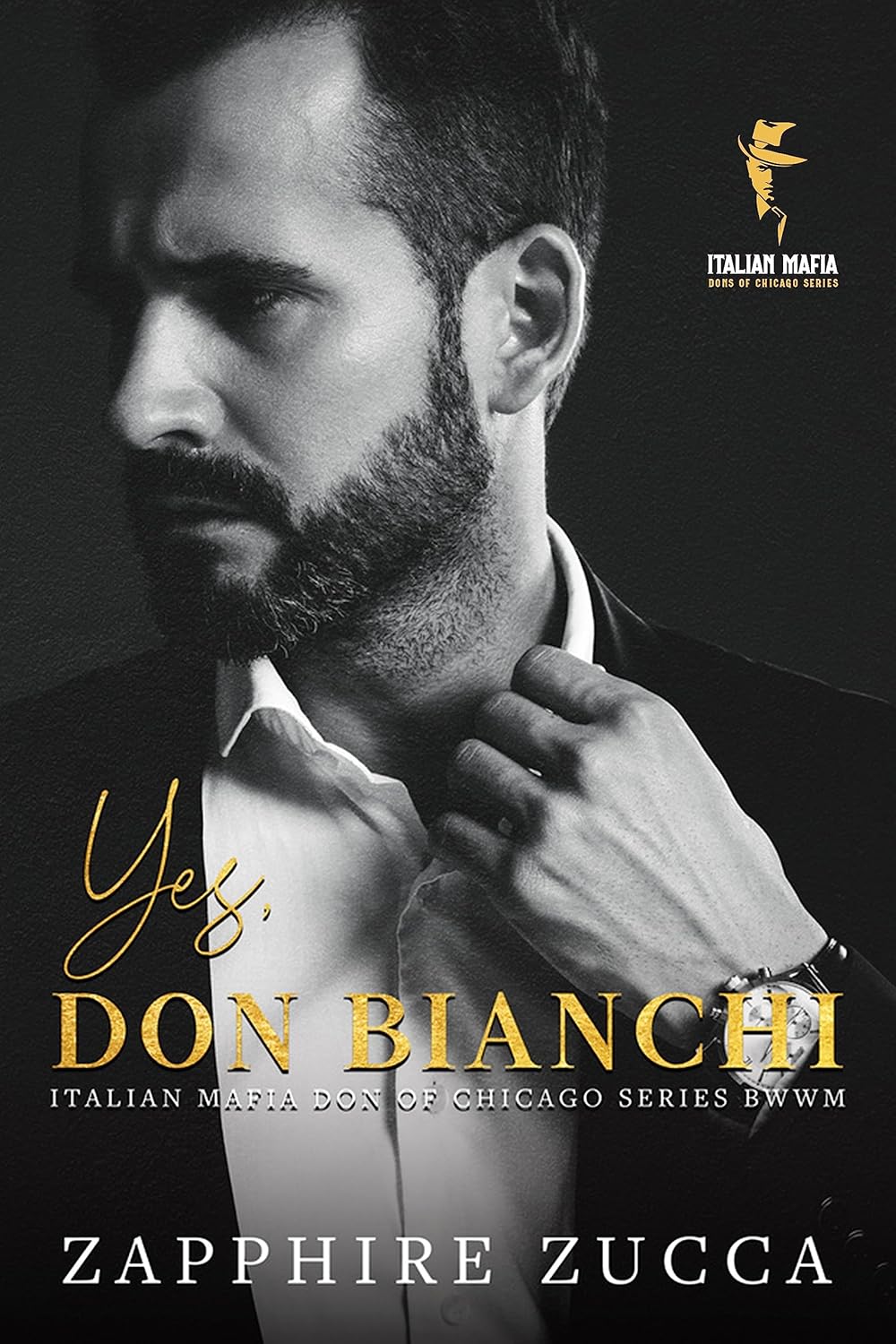 Italian Mafia Don of Chicago Series BWWM Book 1 E63052