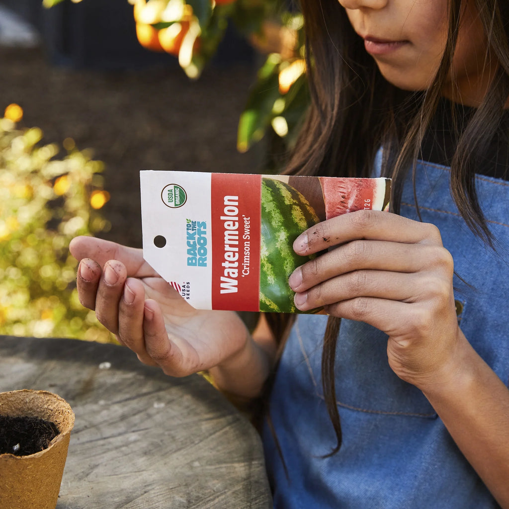 Organic Sweet Keystone Giant Bell Pepper Seeds, 1 Seed Packet P733070