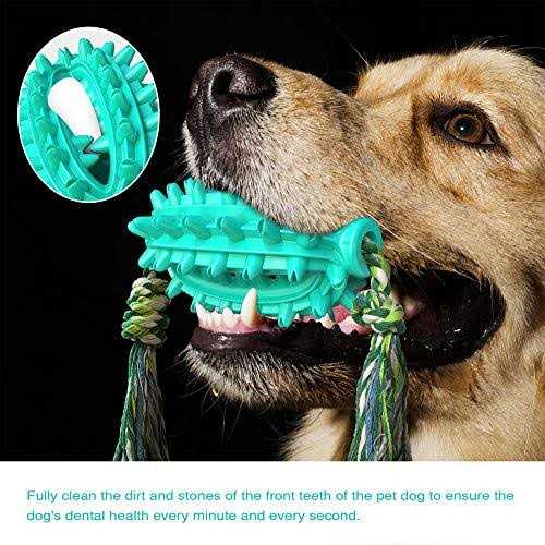 Toothbrush Dog Chew Toy J318