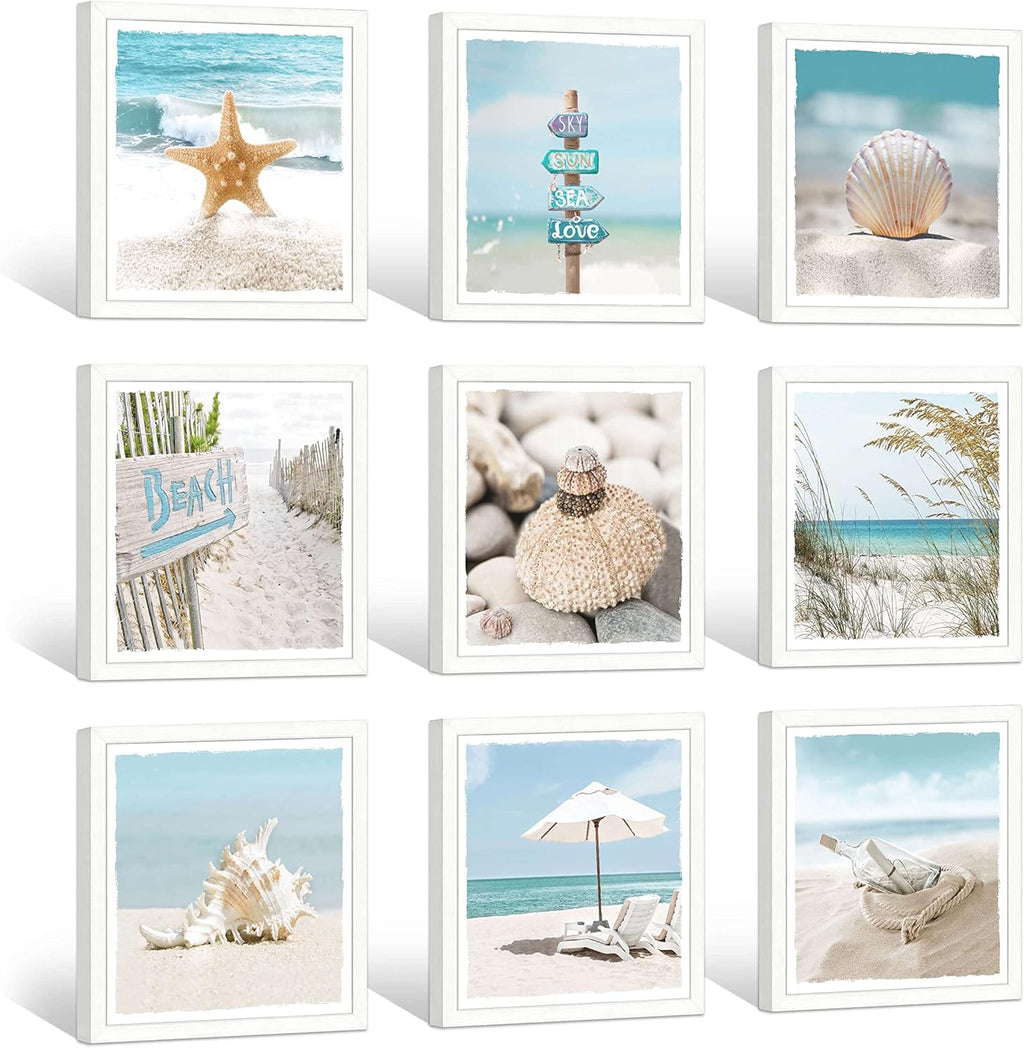 13''x13'' Framed Beach Shell Wall Art V7217
