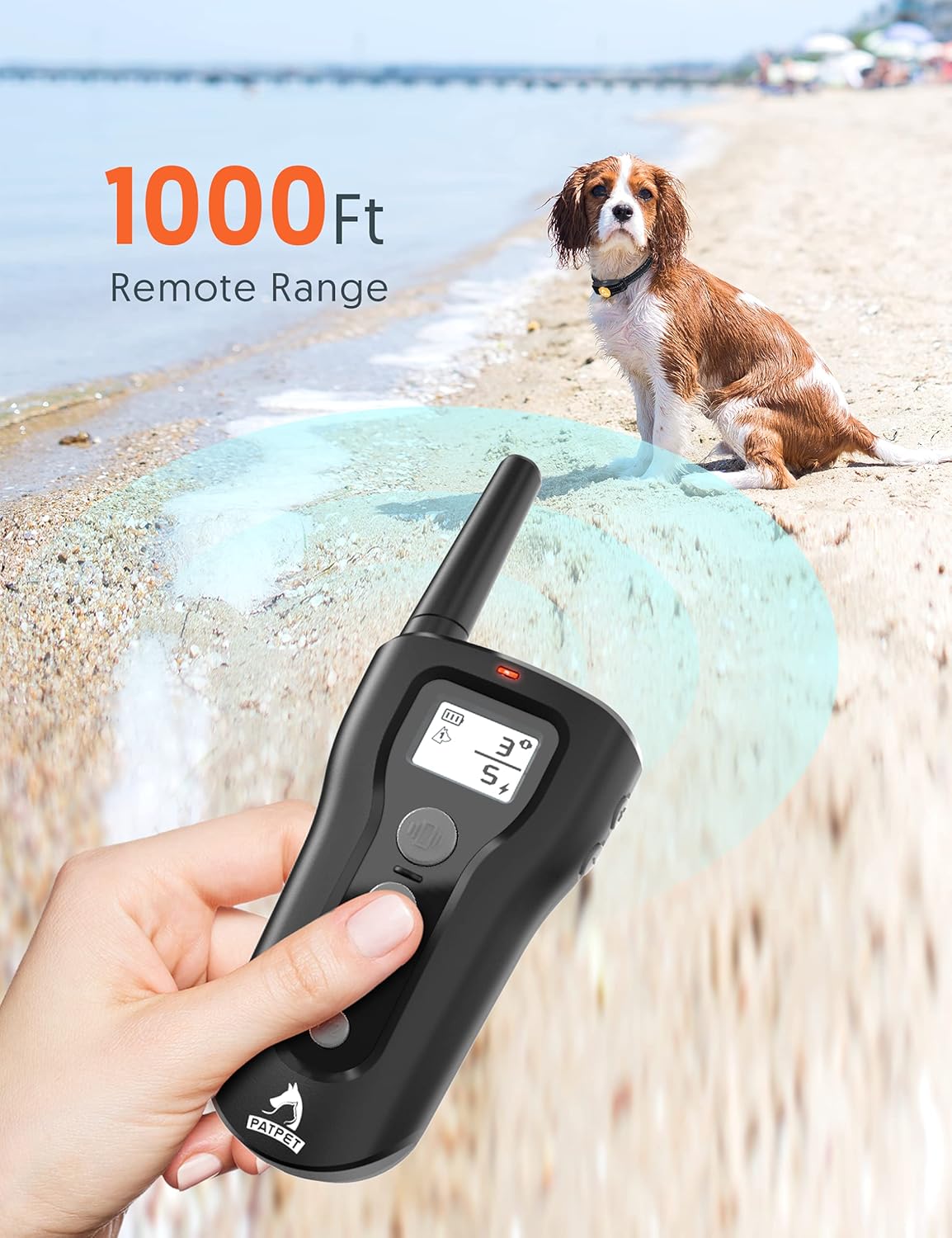 2 Dogs Remote Training Collar Pack of 2 J61481
