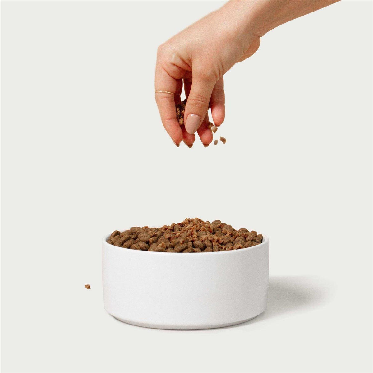 Natural Beef Recipe Dog Food Topper I558556