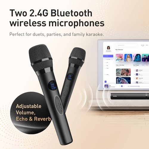 Karaoke Soundbar with Subwoofer, 2 Wireless Microphones, Bluetooth Speaker with Remote T194