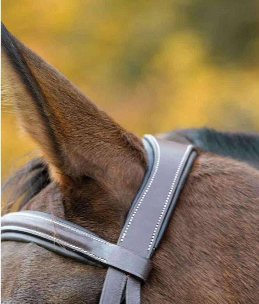 Havana Bridle Y331