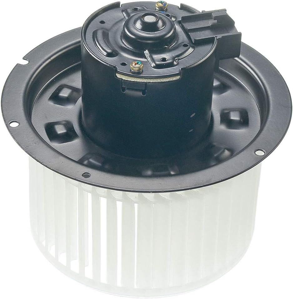 Heater Blower Motor with Fan Cage Pack of 2 T473