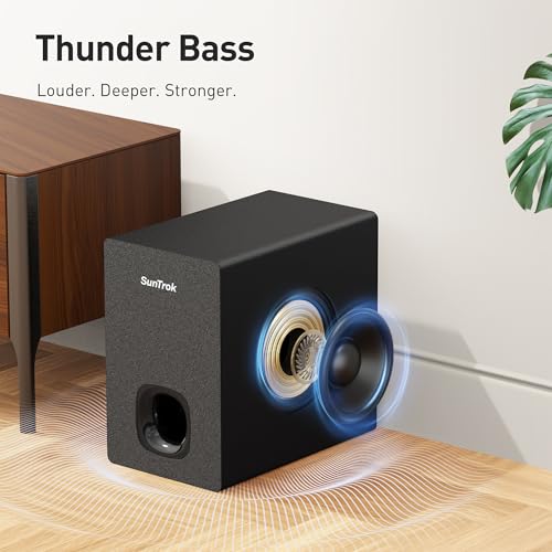 Karaoke Soundbar with Subwoofer, 2 Wireless Microphones, Bluetooth Speaker with Remote T194