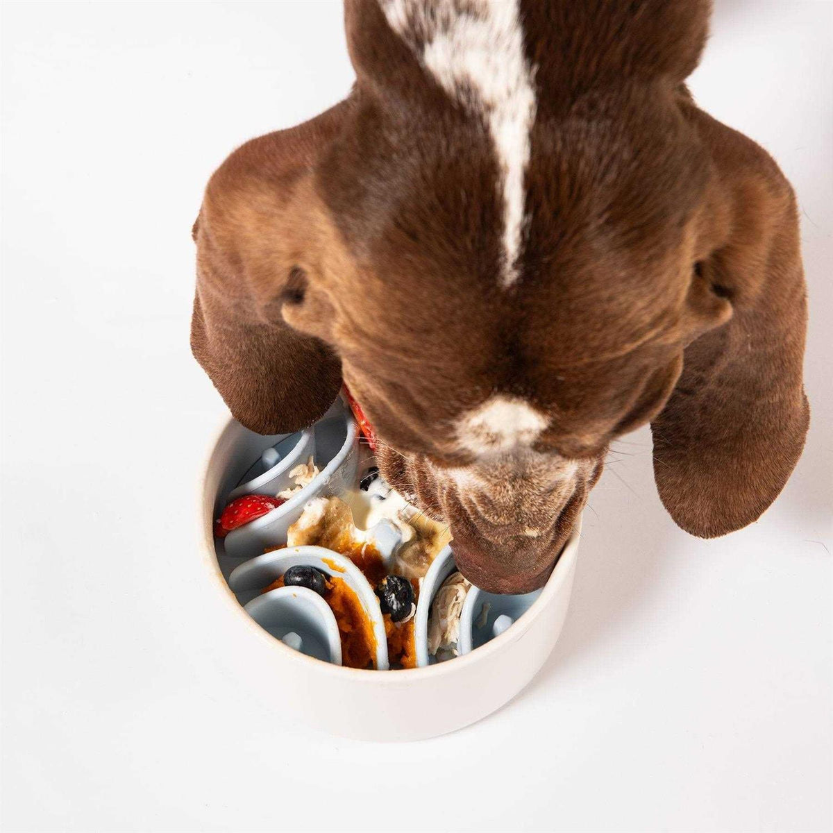 Silicone Bowl Insert Dog Feeding Mat N61568