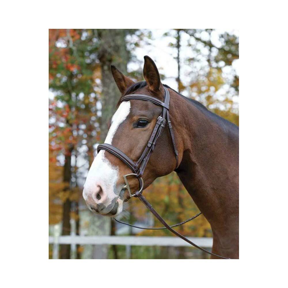 Havana Bridle Y331