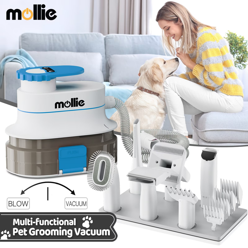 Blue 3-in-1 Pet Grooming Vacuum Kit with 6 Grooming Tools J594