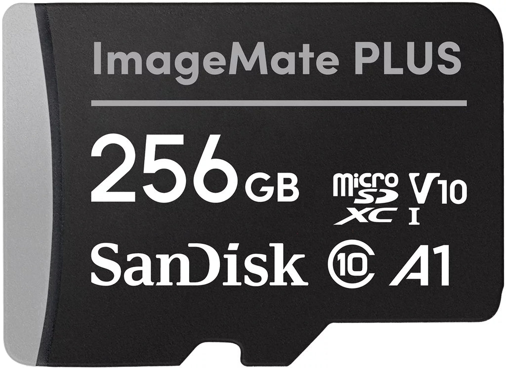 256GB microSDXC UHS 1 Memory Card W240